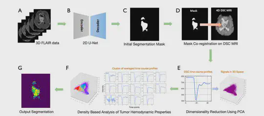 Brain Tumor Segmentation with Deep Learning