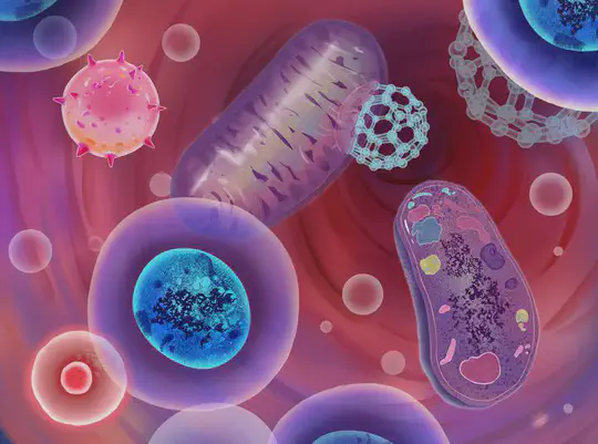 Targeted Nanoparticle Drug Delivery